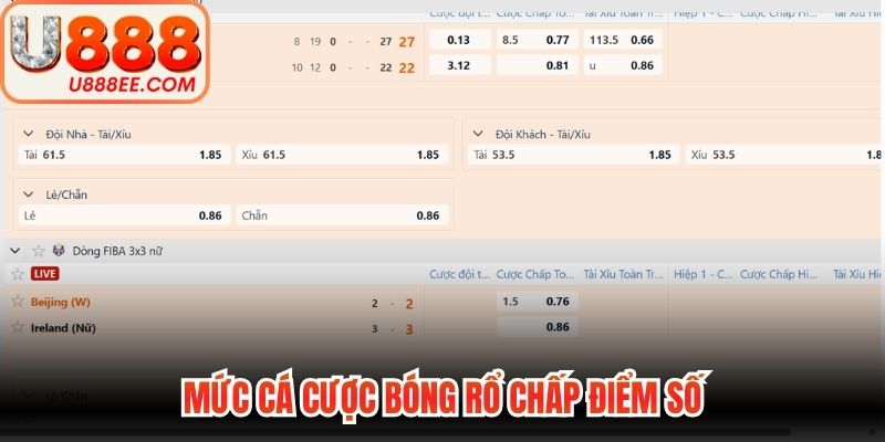 Cá Cược Bóng Rổ - Quy Luật Vào Tiền Chuẩn Nhất 2026 - WINVORO89