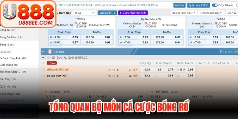 Cá Cược Bóng Rổ - Quy Luật Vào Tiền Chuẩn Nhất 2026 - WINVORO89